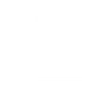 img_icon
