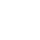 img_icon