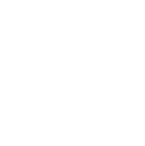 img_icon