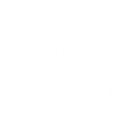 img_icon