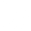 img_icon