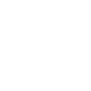 img_icon