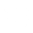 img_icon