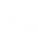 img_icon